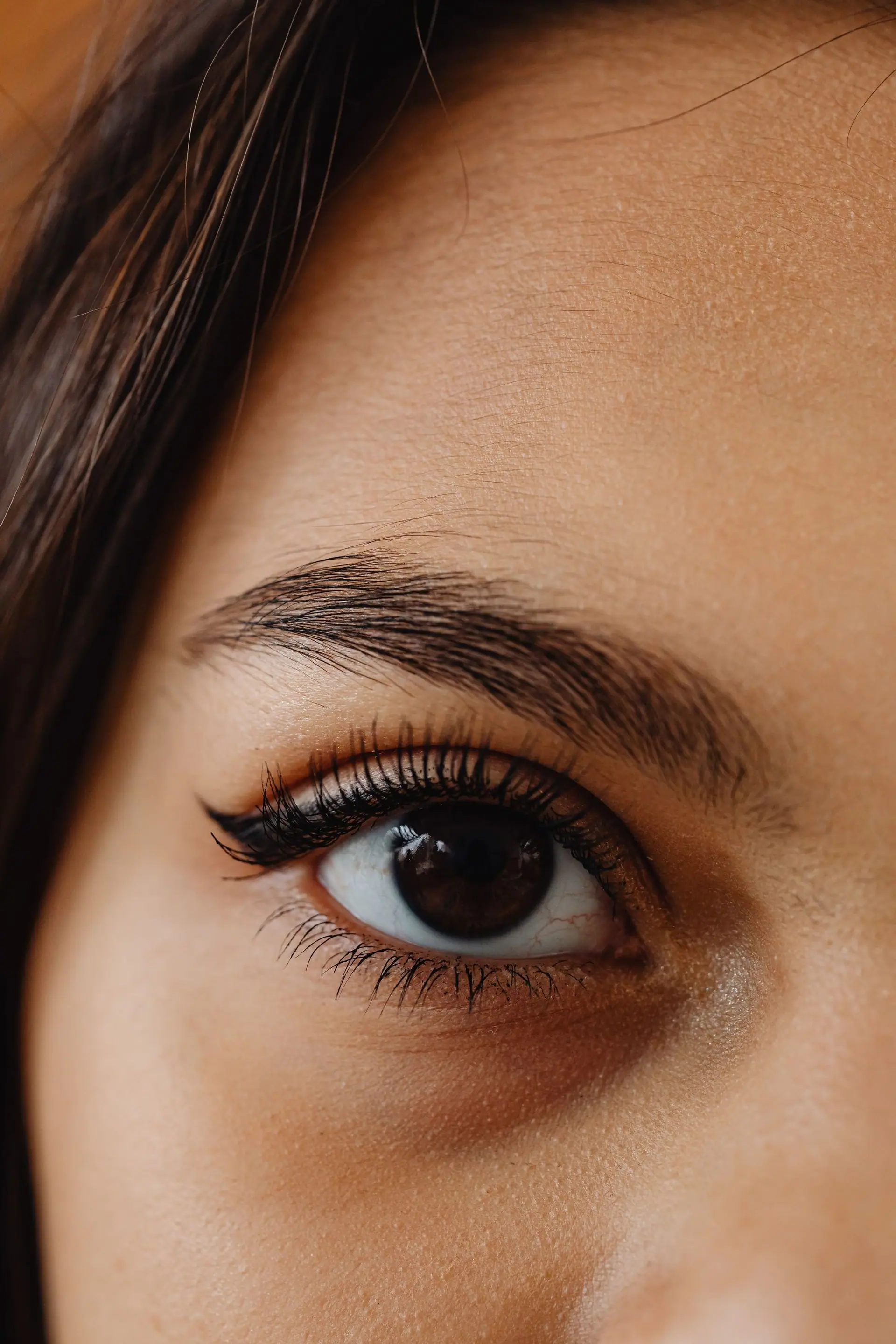 Close-up of a defined brow, long lashes and a warm brown eye