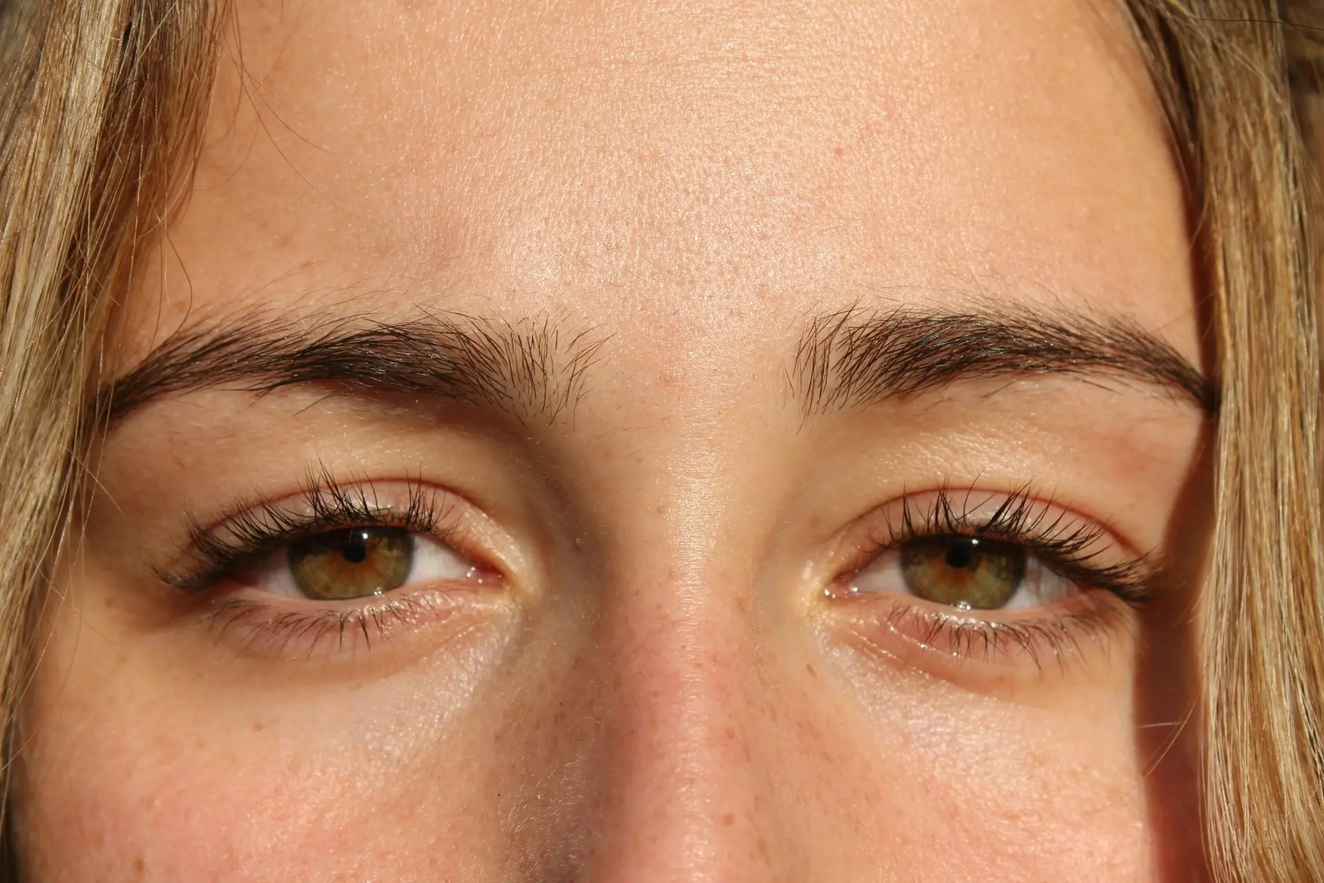 Close-up of natural, evenly shaped brows and hazel eyes